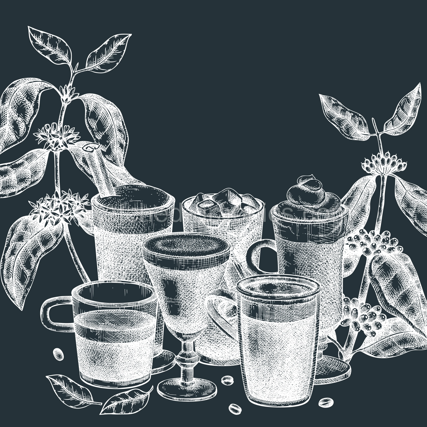 Hand-sketched coffee card design on chalkboard . With vector sketches of aromatic drinks in mugs and glasses. With botanical coffee plants, leaves and beans in vintage style. Vector beverages design Illustration